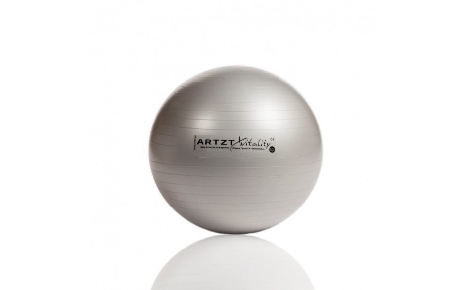 ARTZT vitality Fitness-Ball Professional, 65 cm/silber