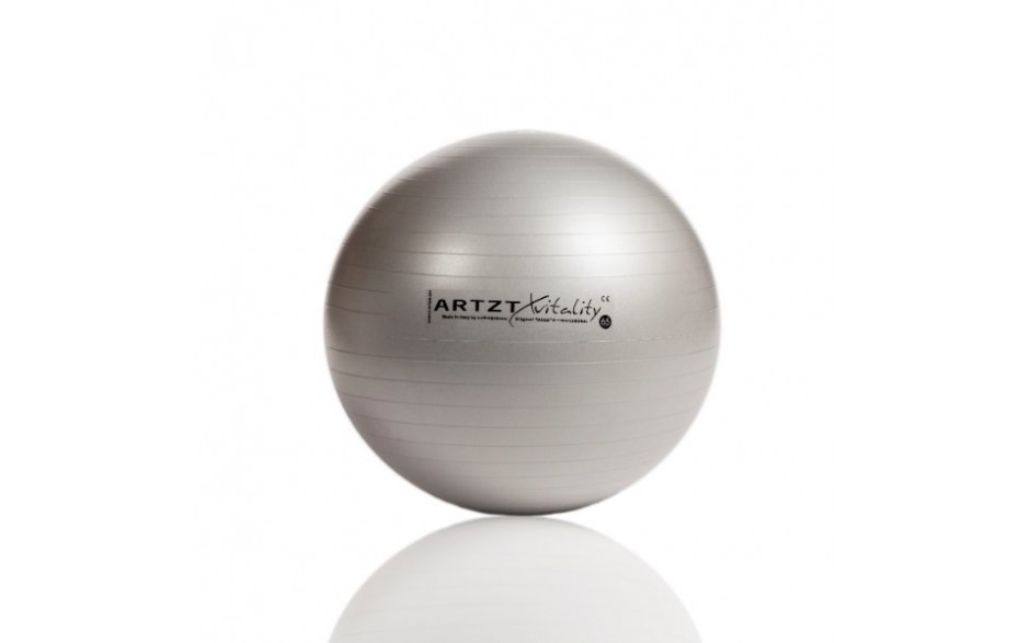 ARTZT vitality Fitness-Ball Professional, 55 cm/silber