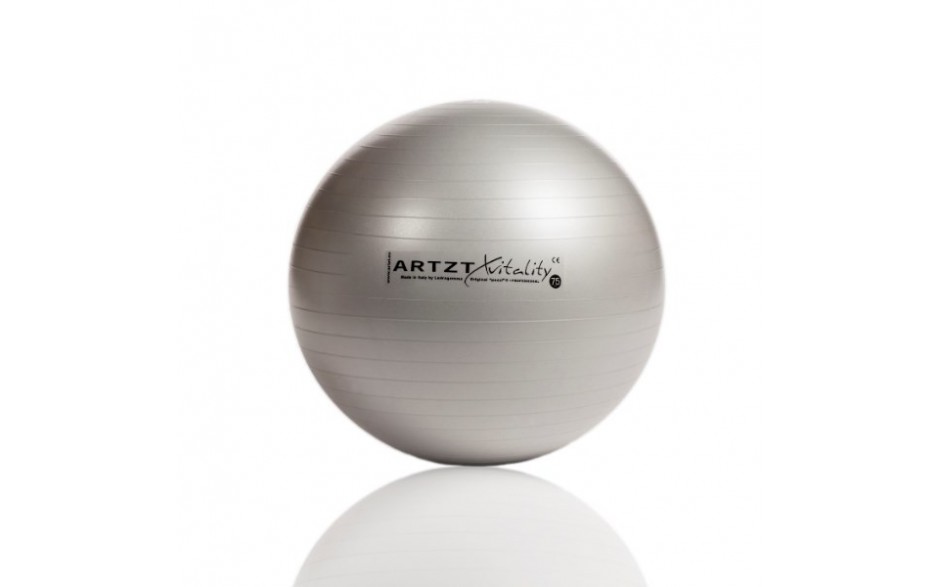 ARTZT vitality Fitness-Ball Professional, 75 cm/silber