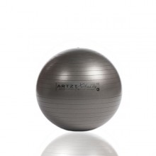 ARTZT vitality Fitness-Ball Professional, 45 cm/anthrazit